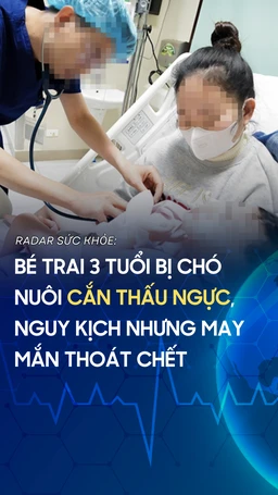 Bé trai 3 tuổi bị chó nuôi cắn thấu ngực, nguy kịch nhưng may mắn thoát chết