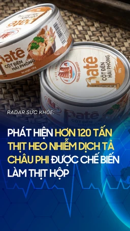 Phát hiện hơn 120 tấn thịt heo nhiễm dịch tả châu phi được chế biến làm thịt hộp