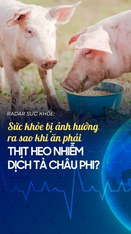 Sức khỏe bị ảnh hưởng ra sao khi ăn phải thịt heo nhiễm dịch tả Châu Phi?