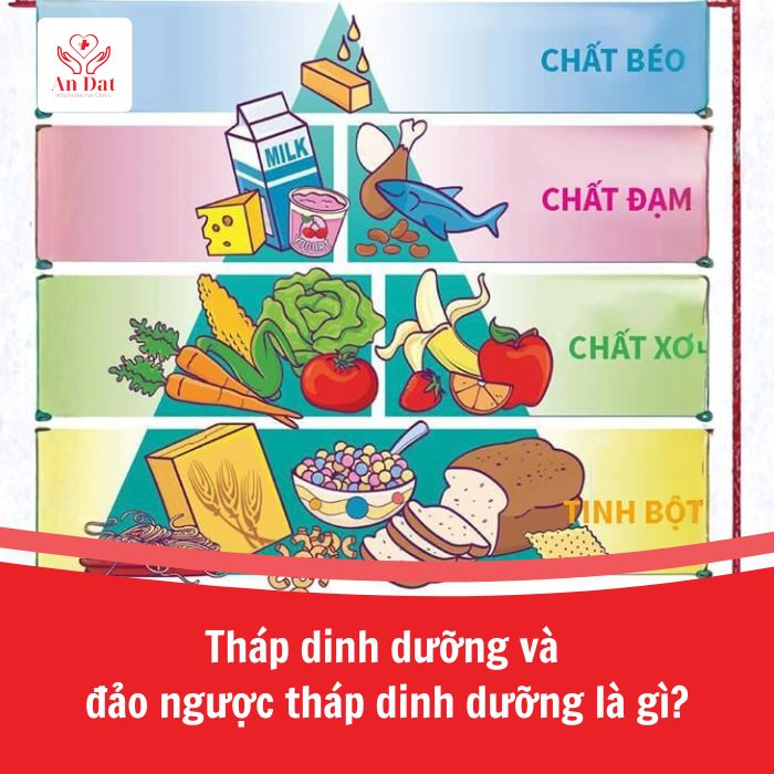 Tháp dinh dưỡng và đảo ngược tháp dinh dưỡng là gì?