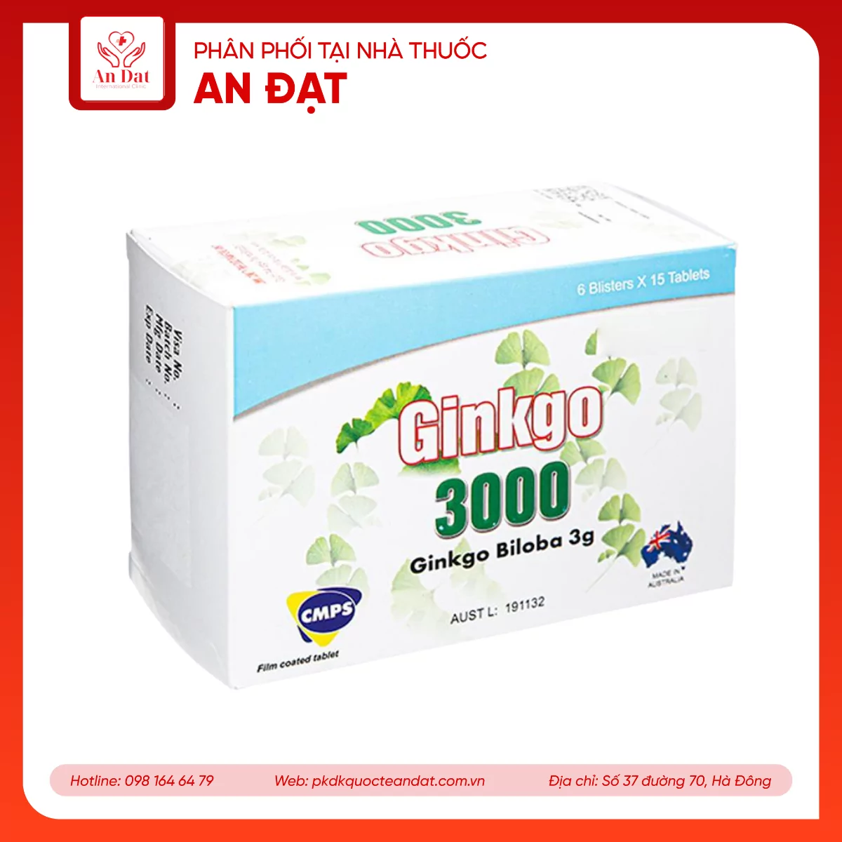 Ginkgo 3000 (Hộp 6 vỉ x15 viên)