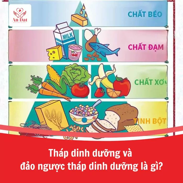 Tháp dinh dưỡng và đảo ngược tháp dinh dưỡng là gì?