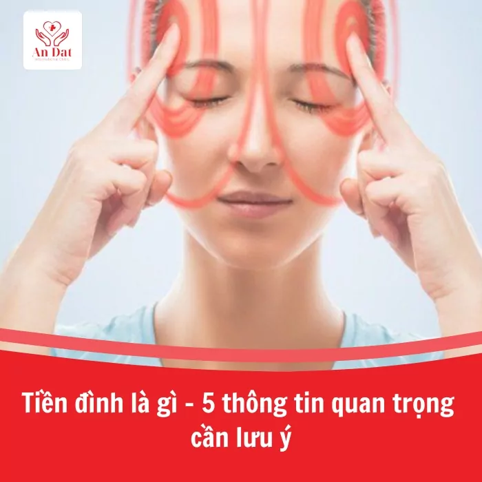 Tiền đình là gì – Chìa khóa giúp duy trì thăng bằng và sự linh hoạt của cơ thể