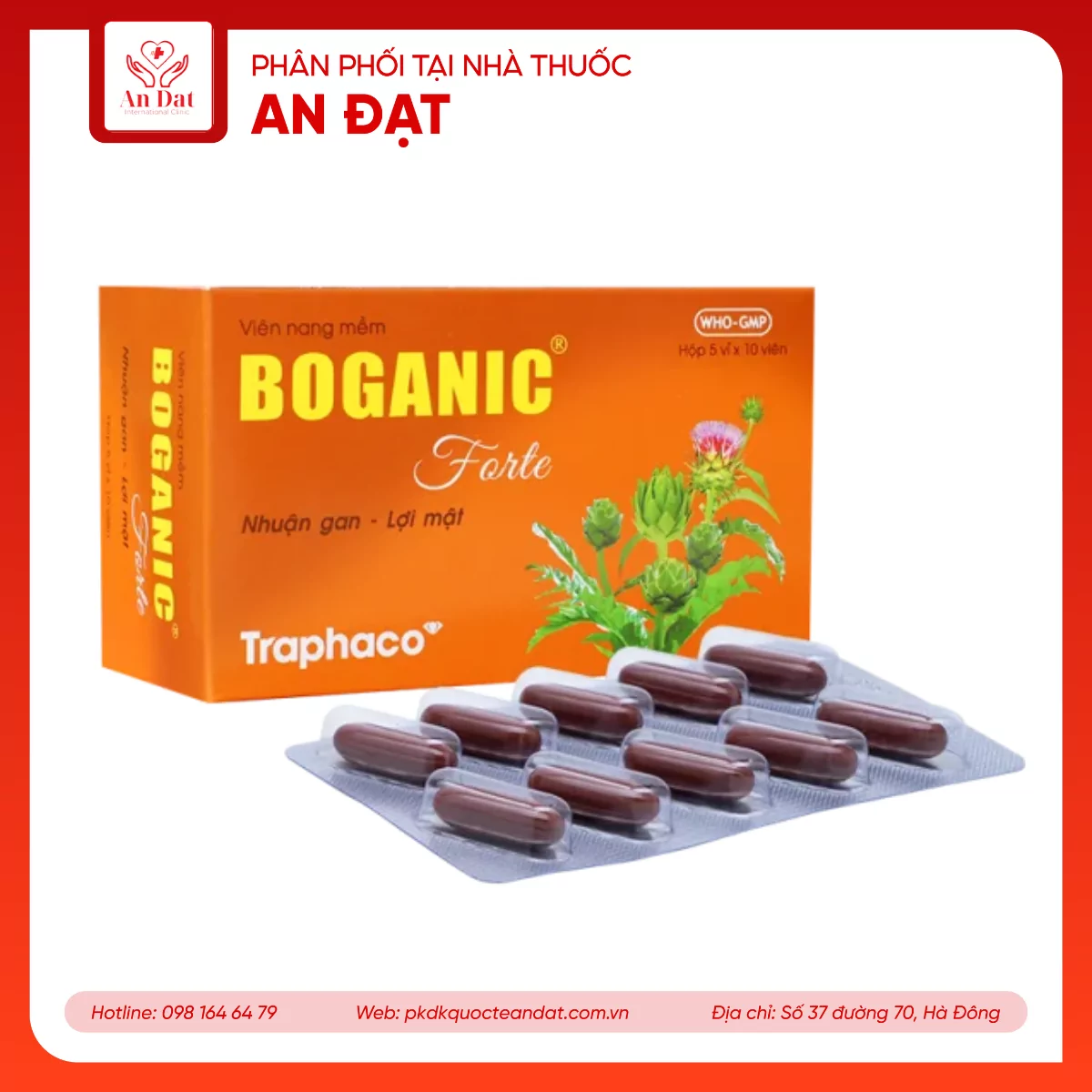 Thuốc Boganic Forte Traphaco bổ gan, hỗ trợ điều trị suy giảm chức năng gan (5 vỉ x 10 viên)