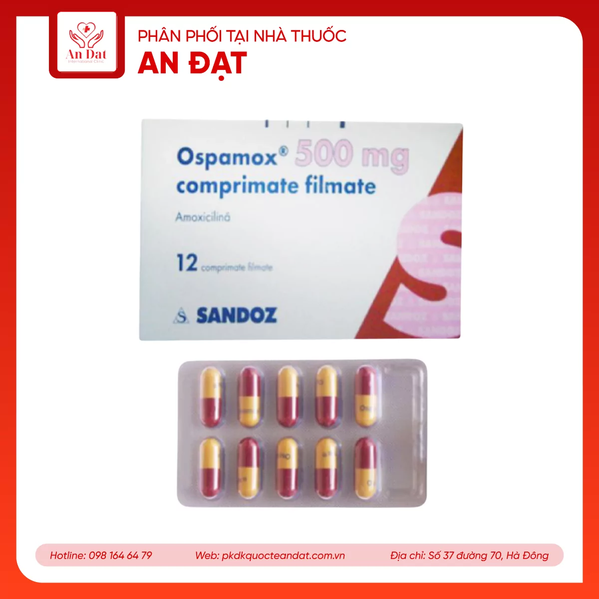 Thuốc Ospamox 500mg Imexpharm điều trị nhiễm trùng đường hô hấp, viêm phế quản (100 vỉ x 10 viên)